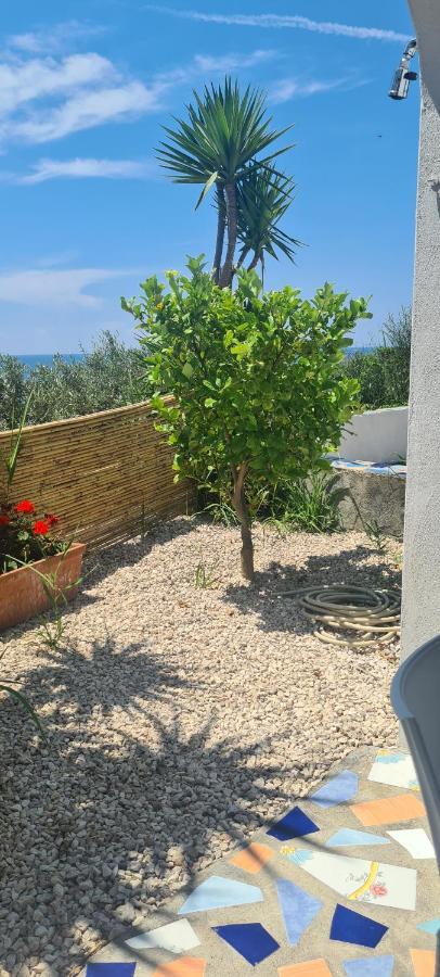 Casa Colomba Apartment Sant'Angelo  Luaran gambar