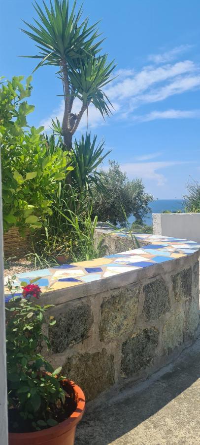 Casa Colomba Apartment Sant'Angelo  Luaran gambar